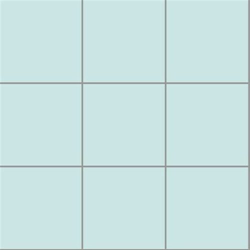 10X10 RAL 2008020 CALIPSO MATT (DM)