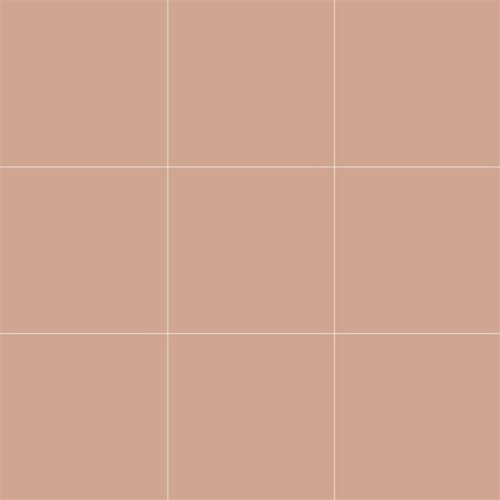 10x10 RAL 0507020 ROSE CREAM MATT (NN)