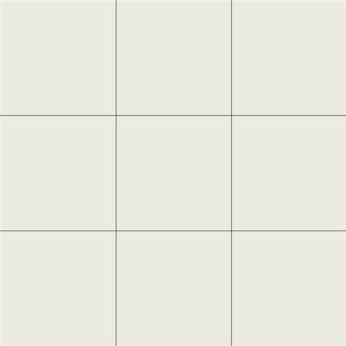 10X10 RAL 1009005 ULTRA WHITE MATT (NN) (ANTIQUE WHITE)