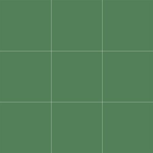 10x10 RAL 1505030 LUSH GREEN MATT (NN)