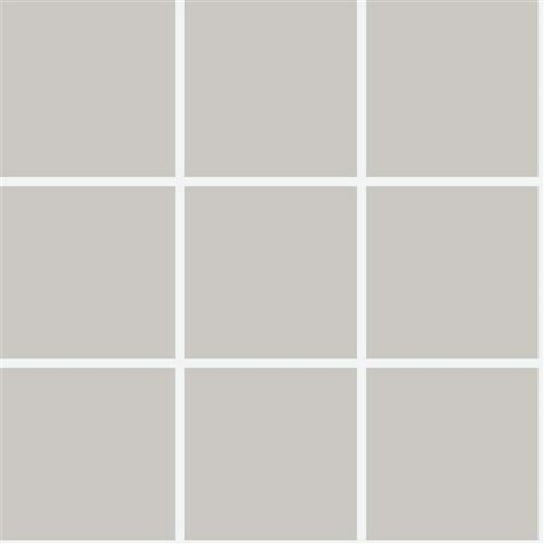 10X10 RAL 0007500 GREIGE GREY GLOSS (NN)