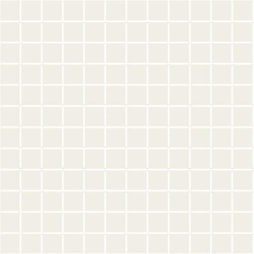 2.5X2.5 RAL 1009005 ULTRA WHITE GLOSS (NN) (ANTIQUE WHITE) - SPECIAL