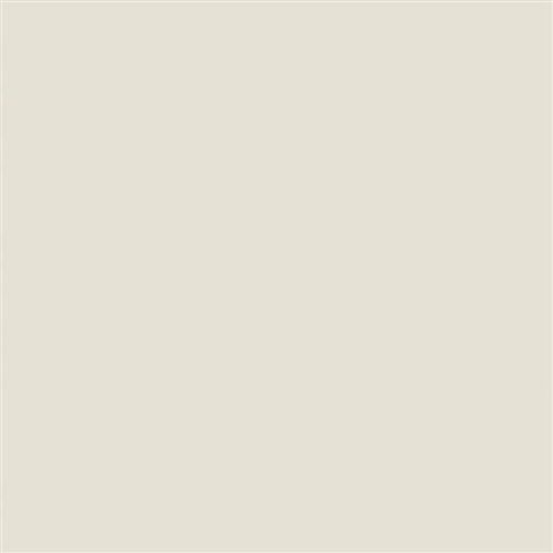 20X20 UNI IVORY MATT R10A (1.2m2/box) - P4