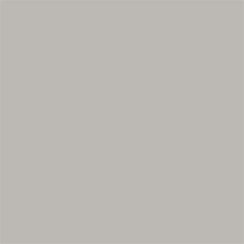 20X20 RAL 0007500 GREIGE GREY MATT