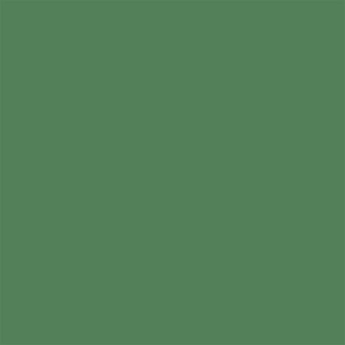 20x20 RAL 1505030 LUSH GREEN MATT