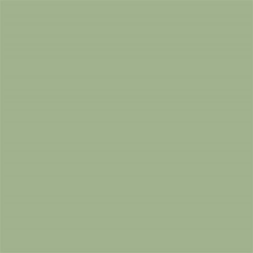 20x20 RAL 1307020 SOAP GREEN MATT