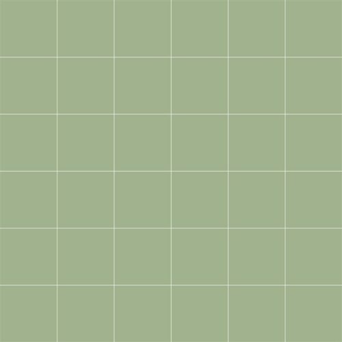 5x5 RAL 1307020 SOAP GREEN MATT (NN)