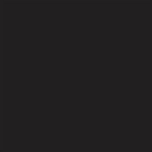 300x300 Unicolour Black R11